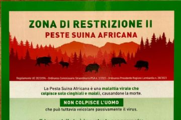 Peste suina africana - Zona di restrizione II (Codevilla): Misure di bio sicurezza