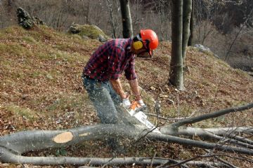 Albo Comunale del Volontariato Civico: aperte le iscrizioni